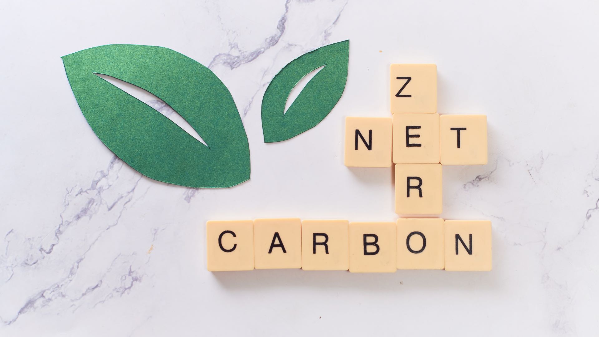 Net Zero Jargon Buster: Exploring The Terminology